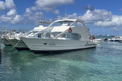 Alquiler Catamarán Private Isla Saona Catamaran 2018 Bávaro
