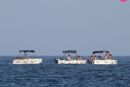 Miete Boot ohne Führerschein  Dipol D400 First Marbella