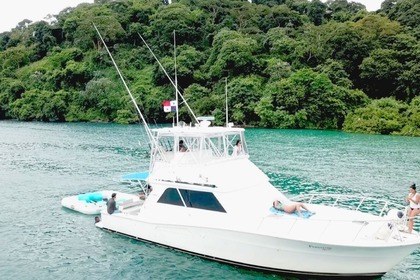 Hire Motorboat Viking 46 Panama City