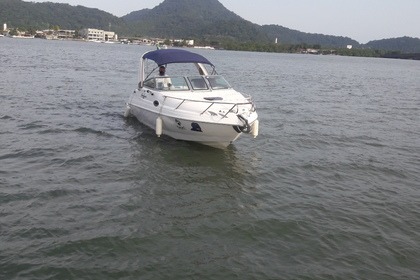 Hire Motorboat Focker 255 Potência 225 São Vicente