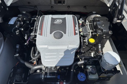 Location Bateau à moteur Sea Ray 190 Sport Le Bourget-du-Lac