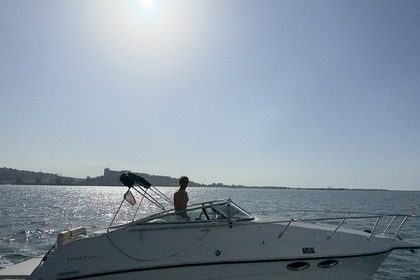 Alquiler Lancha Crownline 268 cr cuddy Lisboa