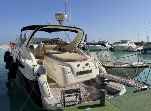 Motorboat Cranchi Endurance 39 Boot Grundriss