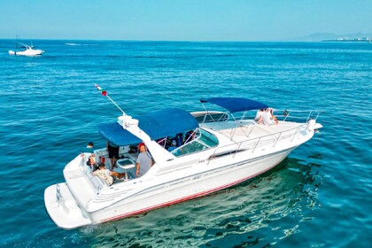 Noleggio Barca a motore Sea Ray sundancer Puerto Vallarta