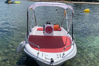 Charter Motorboat Estable 400 Ibiza