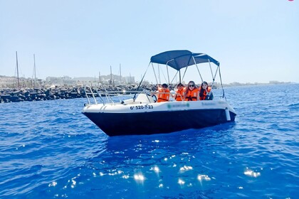 Miete Boot ohne Führerschein  Moonday 480 SD Playa de las Américas