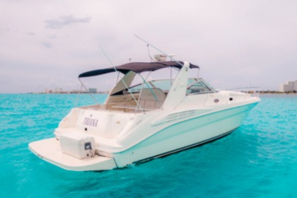 Rental Motorboat Sea Ray Sundancer 420 Cancún