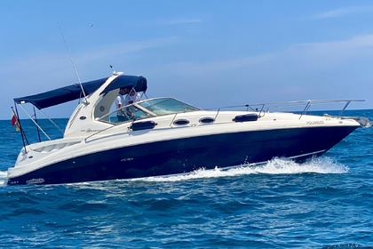 Charter Motorboat Sea Ray 355 Sundancer Torrevieja