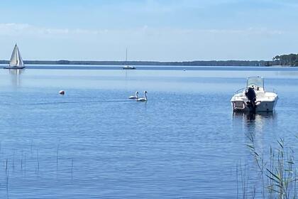 Alquiler Lancha NAUTI-BOY 1999 Lacanau