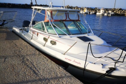 Charter Motorboat Boston Whaler Conquest 28 Chora, Ios