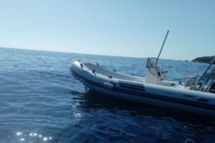 Charter Boat without licence  Nuova jolly Nuovo jolly Isola del Giglio