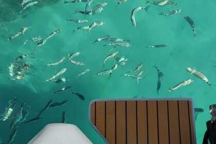 Location Semi-rigide Sacs No License No license Cagliari