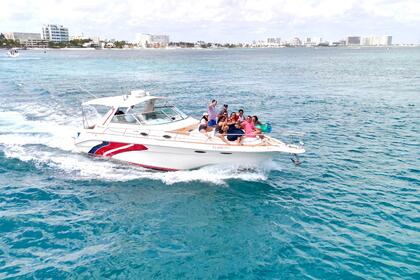 Hire Motorboat Sea Ray 330 Amberjack Cancún