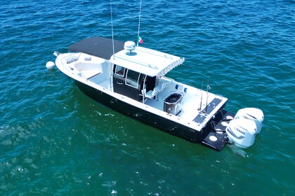 Charter Motorboat 3d Tender 33 Nuevo Vallarta