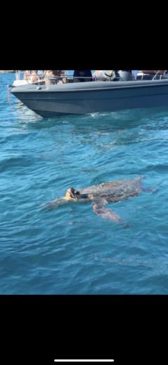 Zakintos Motorboat Aiolos 500 2016 alt tag text