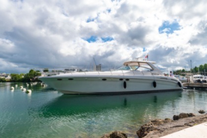 Hire Motorboat Sea Ray Sundancer 54 Bas du Fort