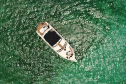 Alquiler Lancha Sea Ray Sedan Bridge 14m Puerto Aventuras