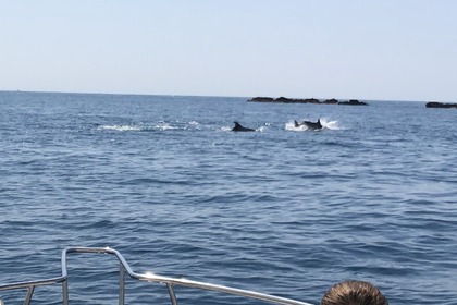 Verhuur Motorboot Chris Chraft Sea Hwak Cannes