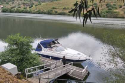 Rental Motorboat Sessa Marine OYESTER 35 Pinhão