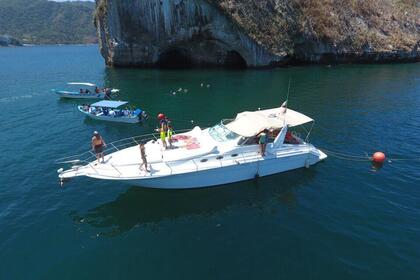 Alquiler Lancha Sea Ray 175 Sport Nuevo Vallarta