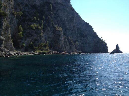 Motorboat Mochi Craft Dominator 31 Planimetria della barca