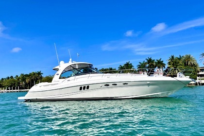 Miete Motorboot SEA RAY 52FT Cancún