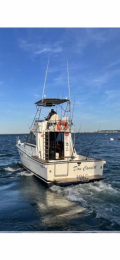 Motorboat Gatto Padi 31 Σχέδιο κάτοψης σκάφους