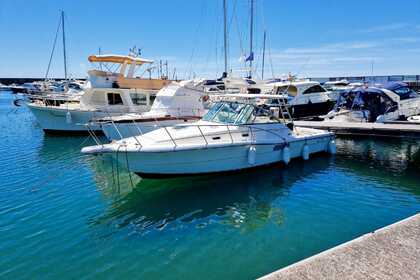 Hire Motorboat Pursuit 3000 Express San Felice Circeo