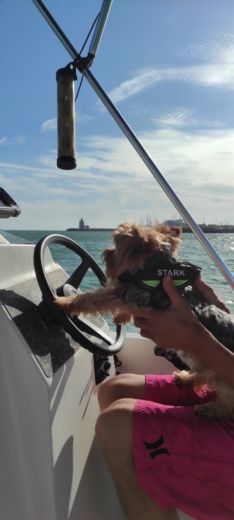 Municipality of El Puerto de Santa María Without license Karel 400 alt tag text