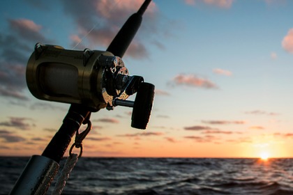 Rental Motorboat Oki Boats Barracuda 545 Marbella