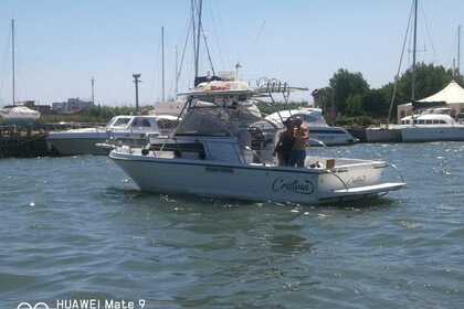 Rental Motorboat Polyform Triakis C29 Fiumicino