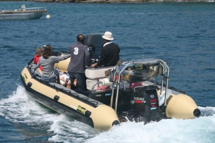 Alquiler Neumática SILLINGER SILLINGER 580 La Trinité-sur-Mer