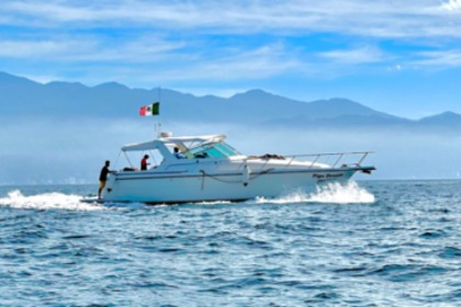 Charter Motorboat Tiara 4000 Express Puerto Vallarta