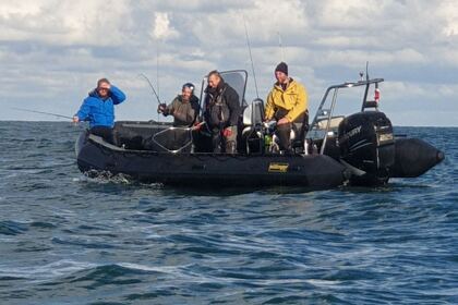 Hire RIB Sillinger Silverline Dunkirk