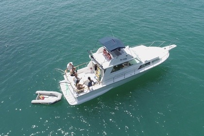 Charter Motorboat Carbrasmar 32.2 Ubatuba