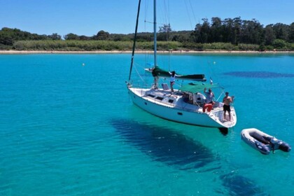 Charter Sailboat Jeanneau Sun Dance 36 Saint-Mandrier-sur-Mer
