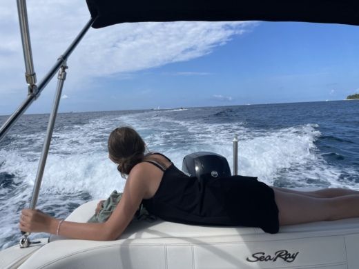 Parenzo Motorboat Sea Ray 190 Spx alt tag text