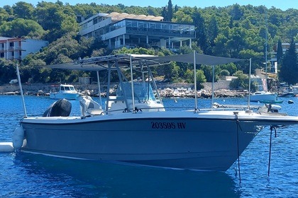 Rental Motorboat Bayliner Trophy 2503FM Trophy 2503FM Hvar