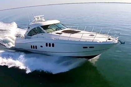 Charter Motor yacht Sea Ray 60 Sundancer Marbella
