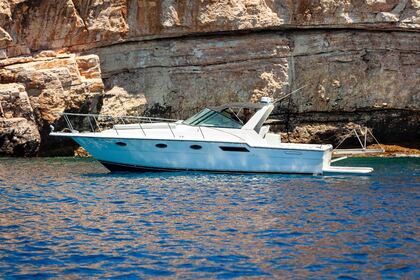 Location Bateau à moteur Tiara 3600 Open Parikiá