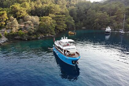 Czarter Jacht motorowy Trawler 2016 Muğla