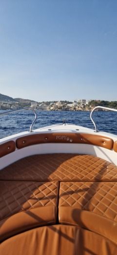 Пальма Motorboat RANIERI VOYAGER 19 alt tag text