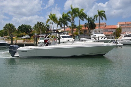 Rental Motorboat INTREPID 36 La Romana