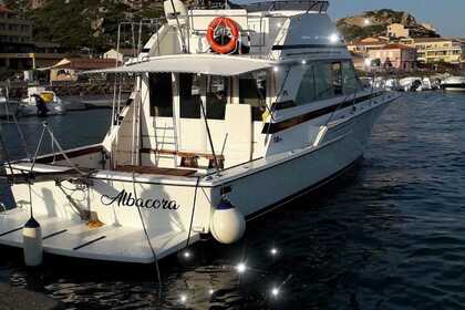 Charter Motorboat Bertram covertible La Maddalena