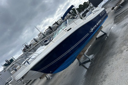 Miete Motorboot Kelt Marine White shark 236 La Trinité-sur-Mer