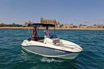Hire Boat without licence  Quicksilver 505 Mallorca