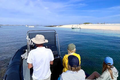 Charter RIB Tarpon DV65 La Forêt-Fouesnant