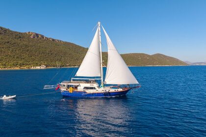 Charter Gulet Gulet Yacht Gulet Yacht Rental in Bodrum Bodrum