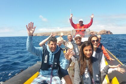 Charter RIB Bwa America 7,5 Peniche