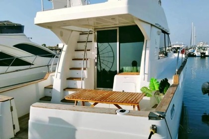 Charter Motorboat Waseet 2017 Abu Dhabi